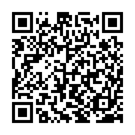 QR code for plate NIQ 313