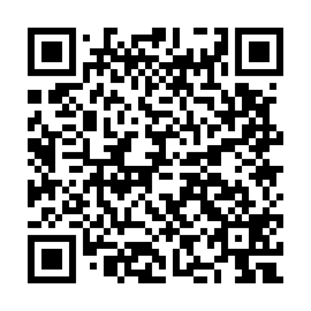 QR code for plate NIQ 519