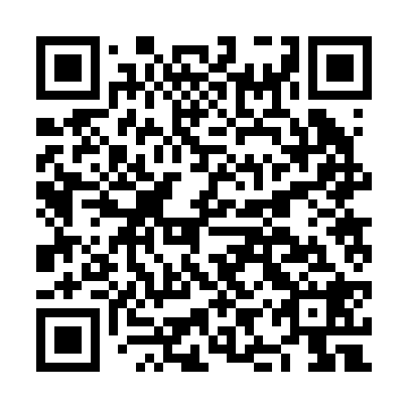 QR code for NIR 228