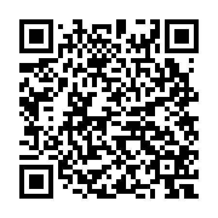 QR code for NIR304