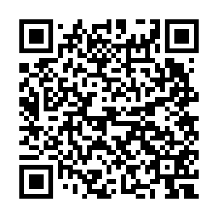 QR code for plate NIR 651