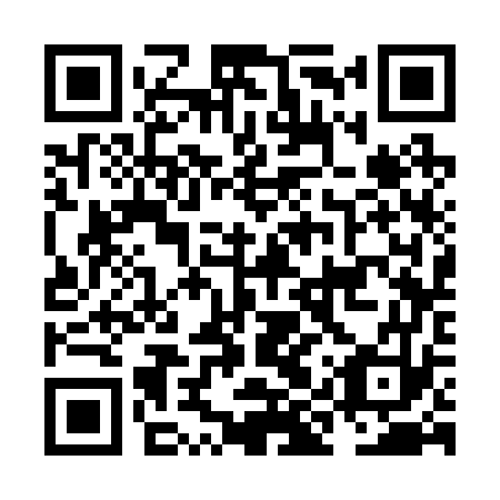 QR code for NIS 273