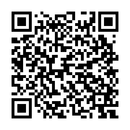 QR code for NIS 341