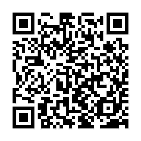 QR code for NIS 390