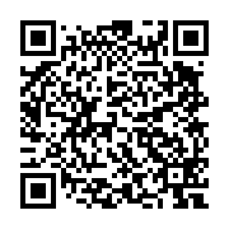 QR code for NIS 499