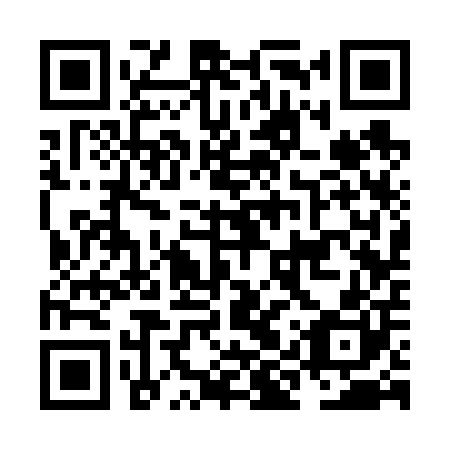 QR code for NIS 600