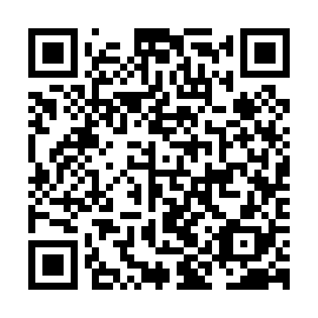 QR code for NIS028