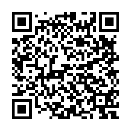 QR code for plate NIS 810