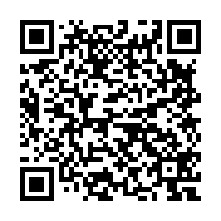 QR code for plate NIS 819