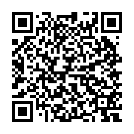 QR code for plate NIU 250