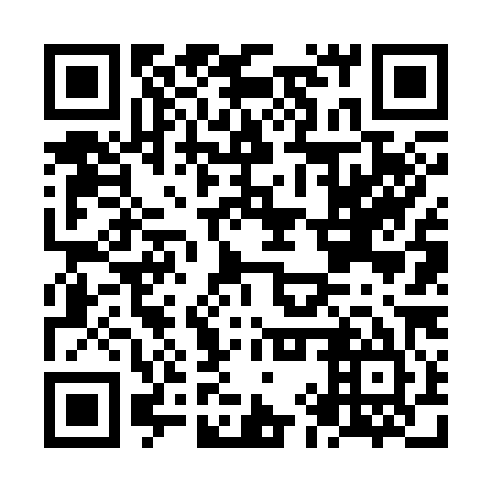 QR code for plate NIV 385