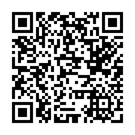QR code for NIW 336