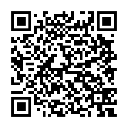 QR code for plate NIX 039