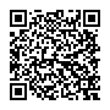 QR code for plate NIX 519