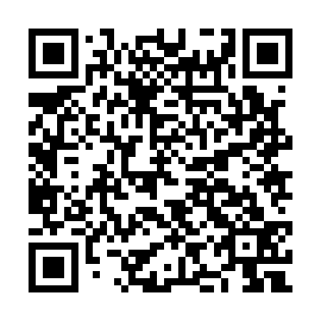 QR code for NIZ 133