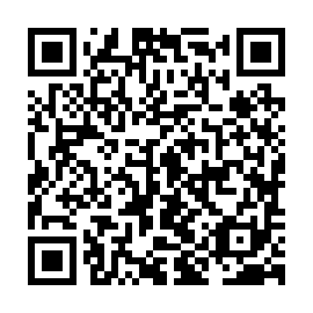QR code for NIZ 291