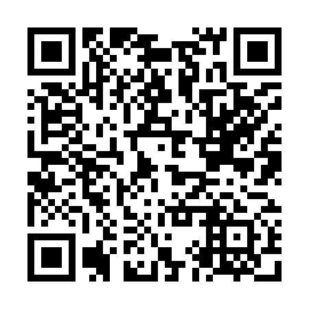 QR code for NIZ 971