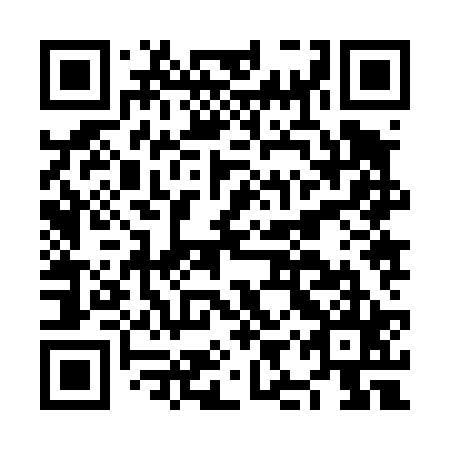 QR code for NIZ425