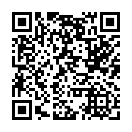 QR code for NIZ919
