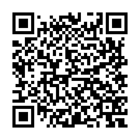QR code for plate NIZ 976