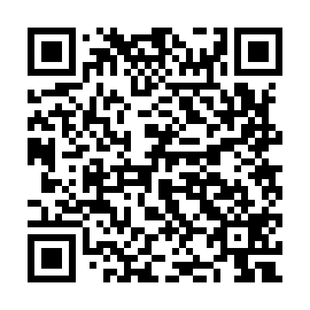QR code for plate NJ 2919