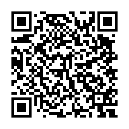QR code for NJZ 411