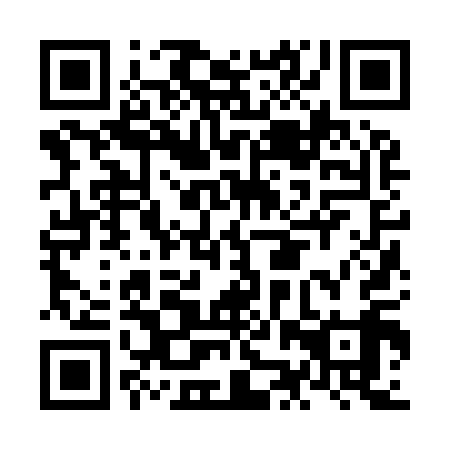 QR code for NJZ 919