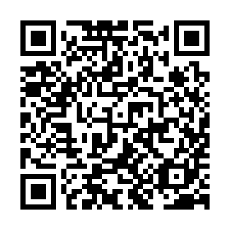 QR code for NK 1381