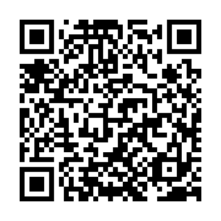 QR code for NK 2333