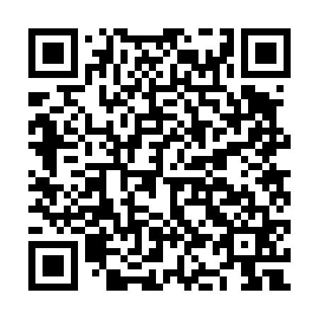 QR code for NK 2461