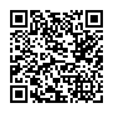 QR code for NK 9306