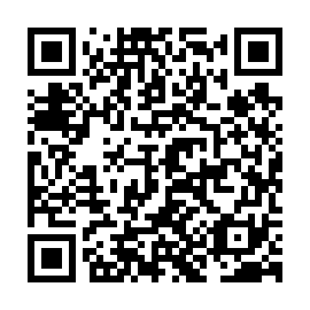 QR code for NK 9671