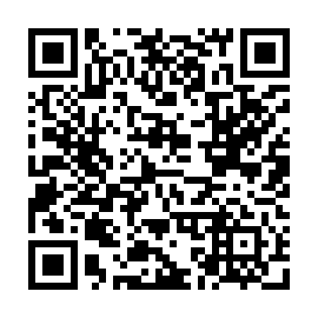 QR code for NK 9941
