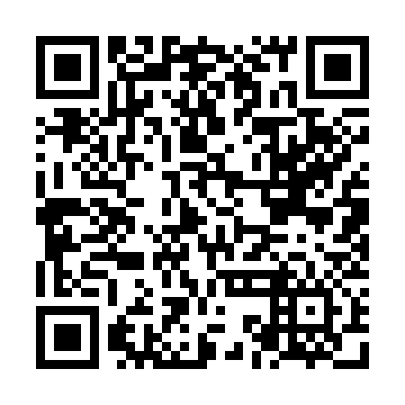 QR code for NKA 336