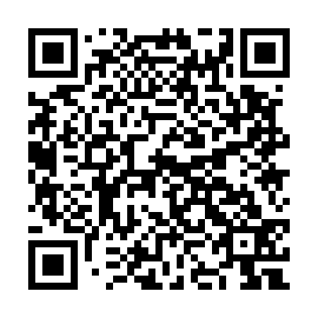 QR code for plate NKA 533