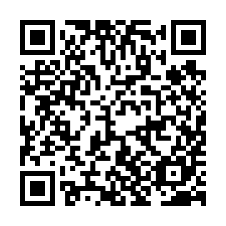 QR code for plate NKA 685