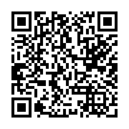 QR code for plate NKA 993