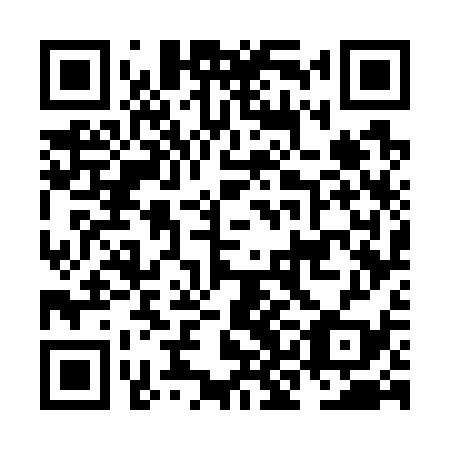 QR code for NKG 739