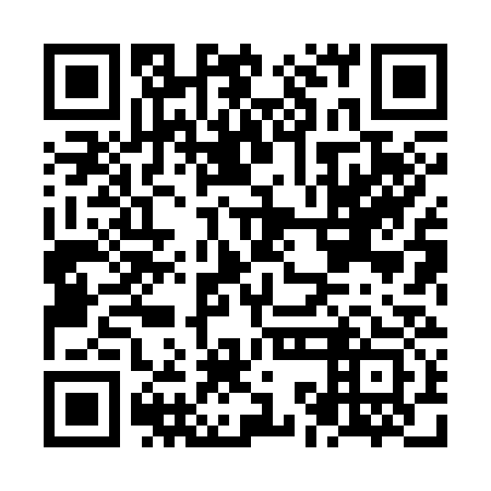 QR code for plate NKH 333