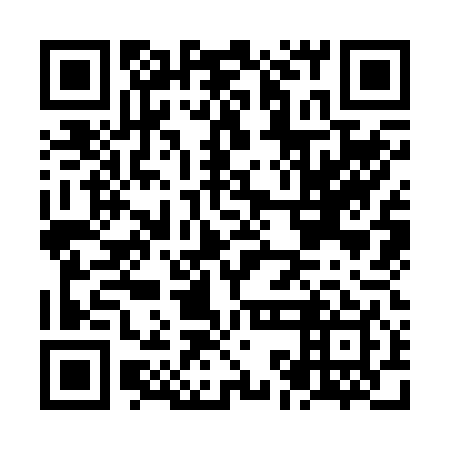 QR code for plate NKK 249