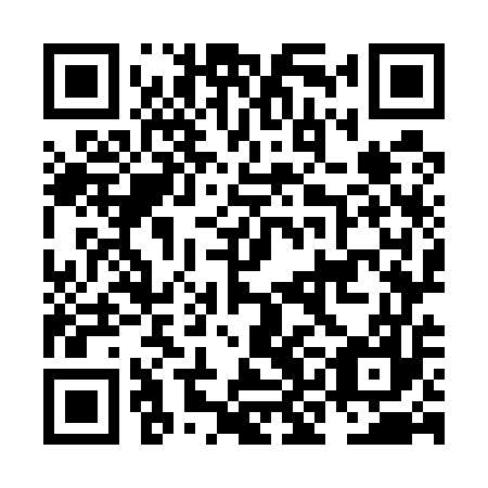 QR code for plate NKO 557