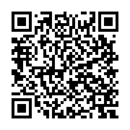 QR code for plate NKQ 153