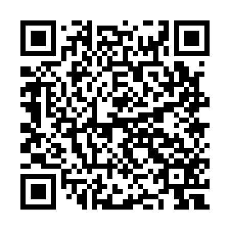 QR code for plate NKQ 156