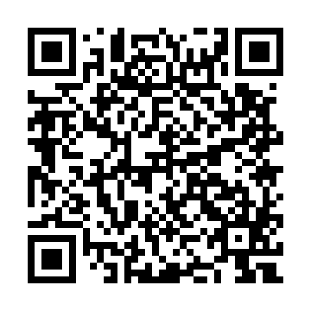 QR code for plate NKQ 585