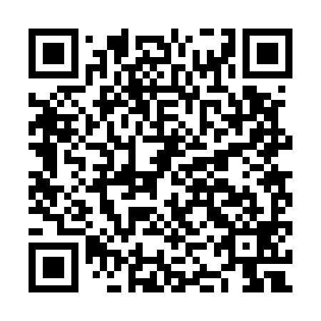 QR code for NKR 599