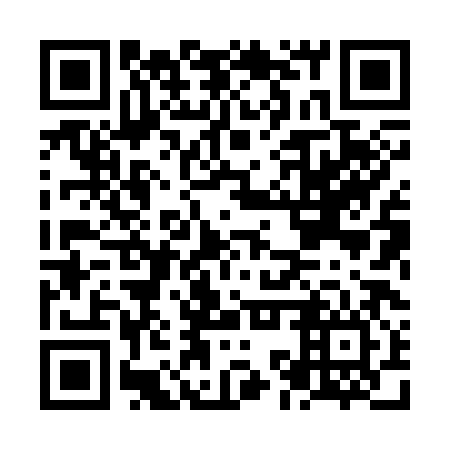 QR code for NKX386
