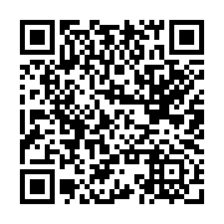 QR code for plate NKY 393