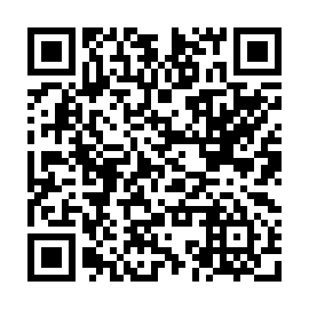 QR code for NKZ 295