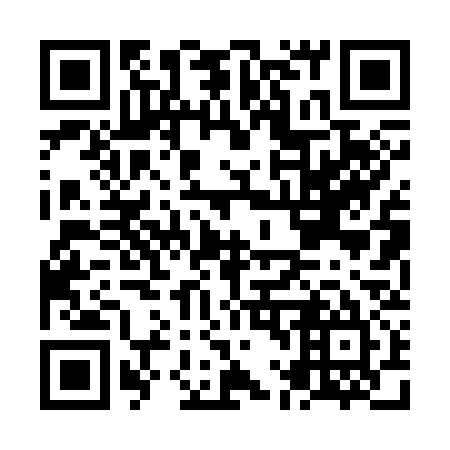 QR code for NL 0335