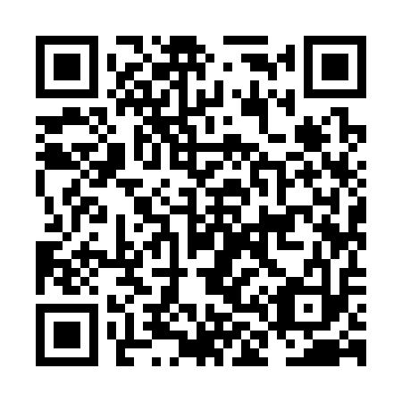 QR code for NL 9313